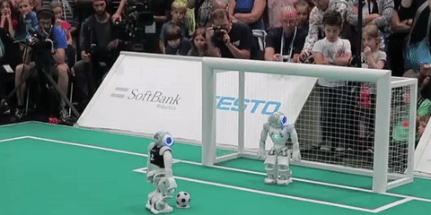 Robot Playing Football